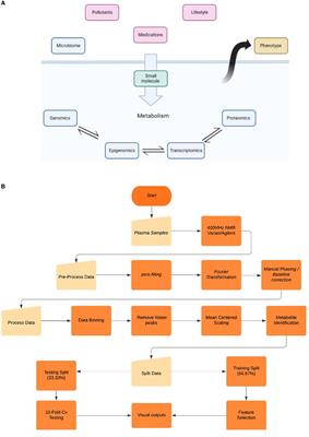 Application of novel AI-based algorithms to biobank data: uncovering of new features and linear relationships